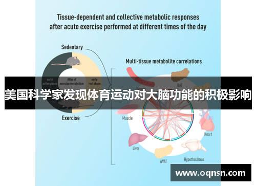 美国科学家发现体育运动对大脑功能的积极影响